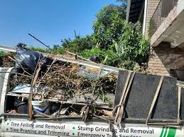 Best Basement Cleanout  in Stevenson, AL